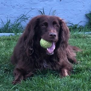 Meet your Posher, Kevin